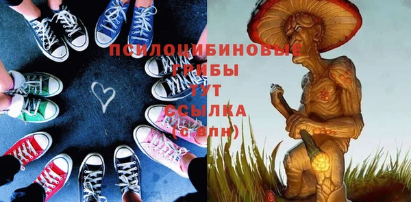 крисы Покров