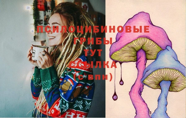 марки nbome Пролетарск