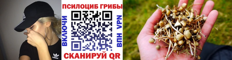 цены   Ермолино  Галлюциногенные грибы мухоморы 